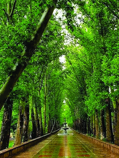 استان کرج دفتر مرکزی بیمه سی و یک