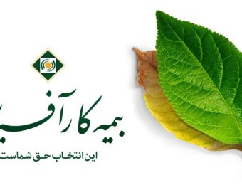 بیمه کارافرین در سایت بیمه سی و یک