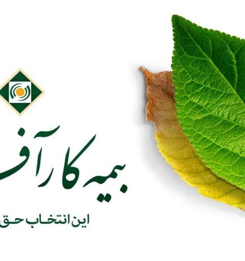 بیمه کارافرین در سایت بیمه سی و یک